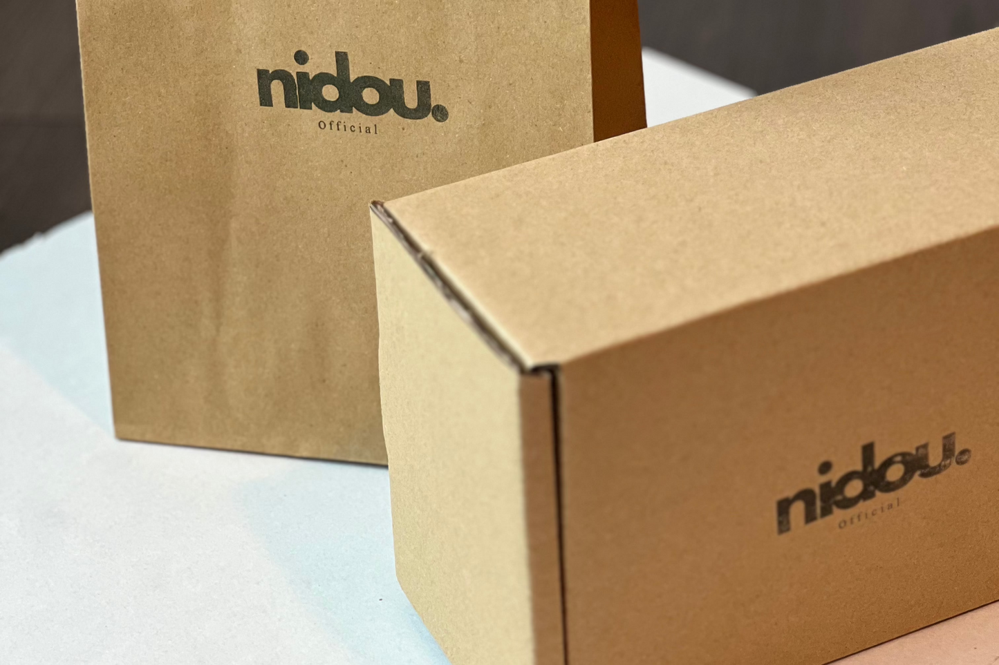 Paper Gift Bag